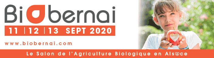 Bio-Obernai 2020 : Le chaudron des alternatives est dans la place ! : Image à la une