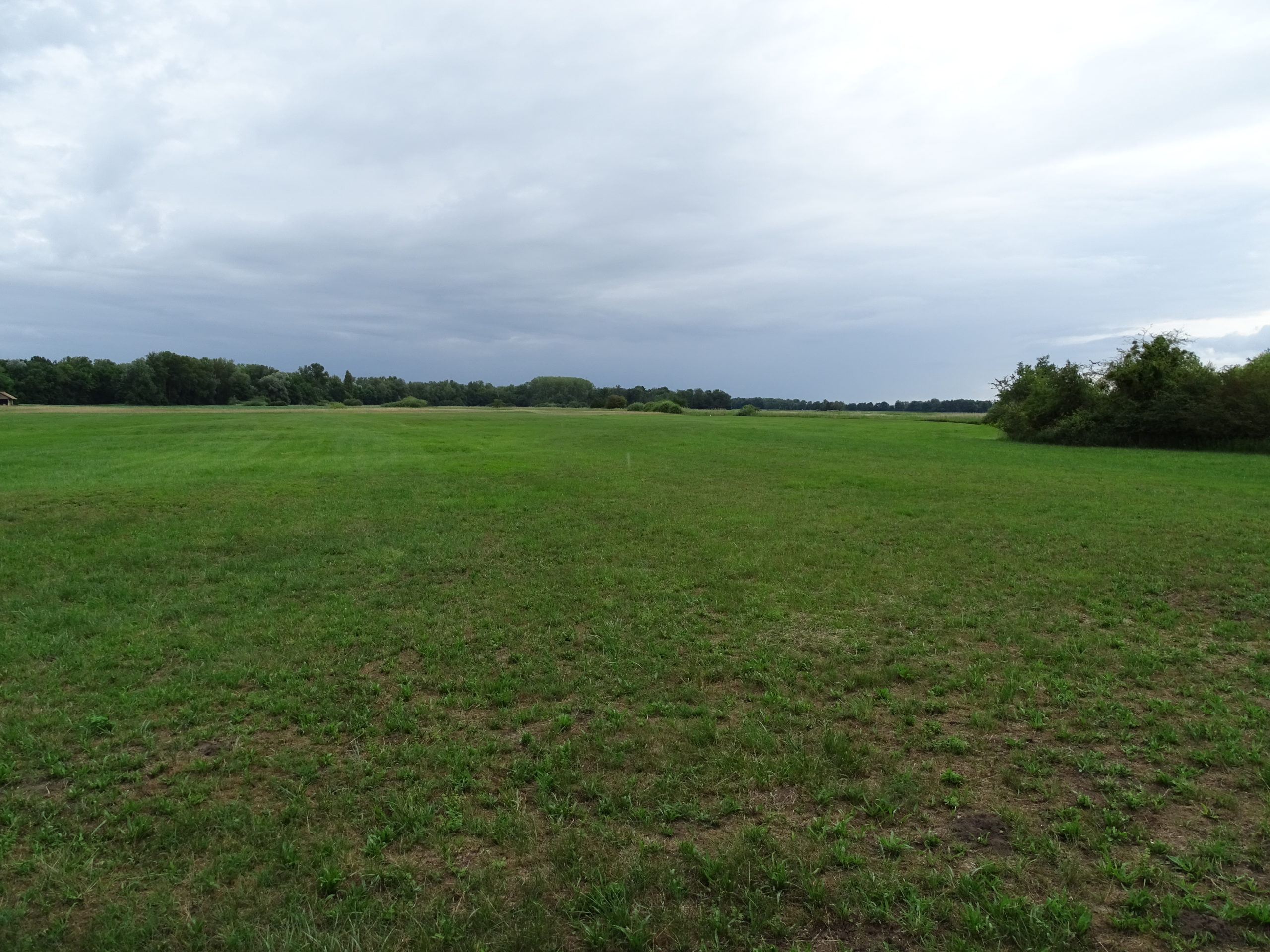 04/12/20 : Le Chaudron des Alternatives dénonce Europa Valley – vaste projet hôtelier dans le Ried de Rhinau, Diebolsheim et Sundhouse : Image à la une