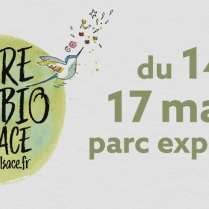 Le chaudron à la foire écobio de Colmar : image à la une
